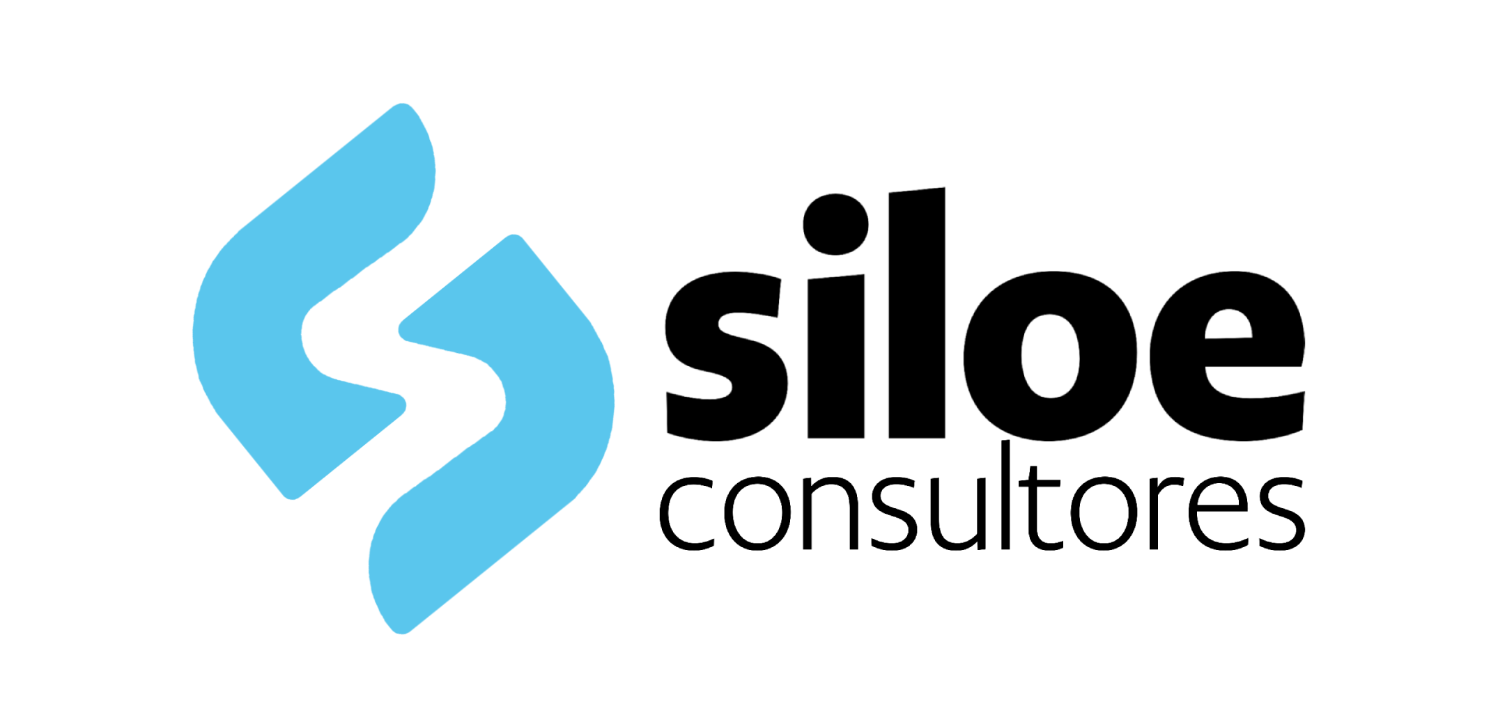 SILOE Consultores